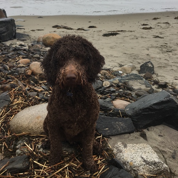 Meet your Posher, Rebecca - Picture 2 of 6